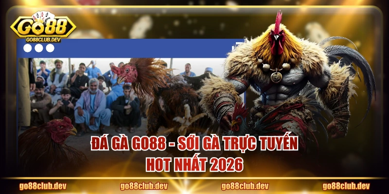 Đá Gà GO88 - Sới gà trực tuyến HOT nhất 2026