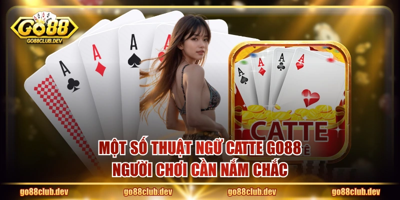 Một số thuật ngữ Catte GO88 người chơi cần nắm chắc